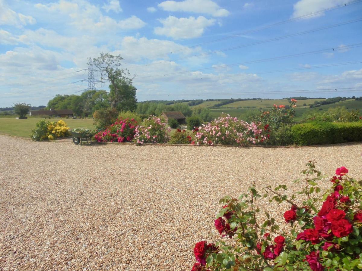 Rose Cottage Rye Εξωτερικό φωτογραφία